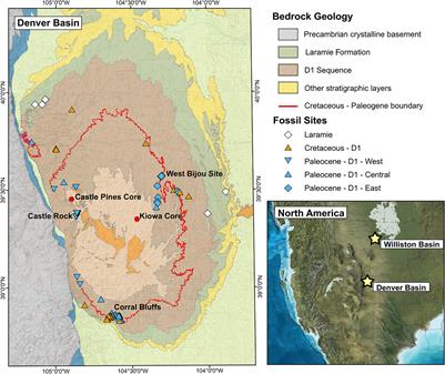 No Consistent Shift in Leaf Dry Mass per Area Across the Cretaceous—Paleogene Boundary